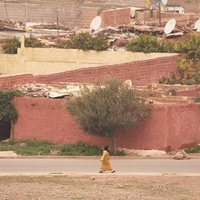 Suburban Marrakech