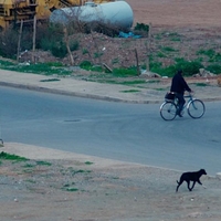 Suburban Marrakech