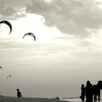 Essaouira des jours et des vies