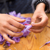 Saffron: Morocco's Red Gold