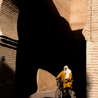 The Old Marrakech