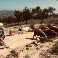 Sur la terre de mon père