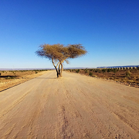 Natural roundabout