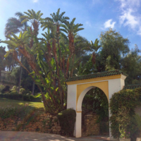 Treasures of Architecture: Royal Residences of Ambassadors in Algiers