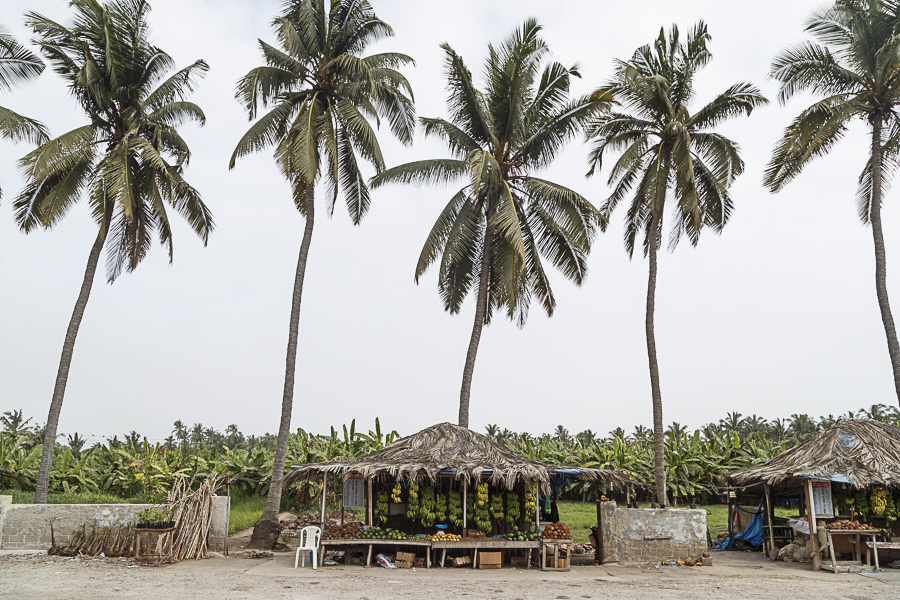 Khareef, Dhofar Region, Oman