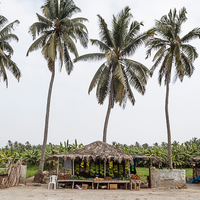 Khareef, Dhofar Region, Oman