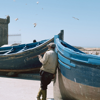 Decelerating World - Morocco