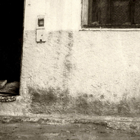 Berber Woman, Bhalil, Morocco