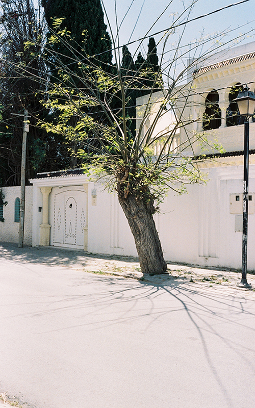 Tunis: la splendeur du silence