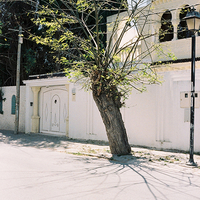 Tunis: la splendeur du silence