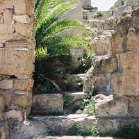 Tunis: la splendeur du silence