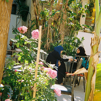 Tunis: la splendeur du silence