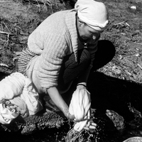 Femmes du maghreb