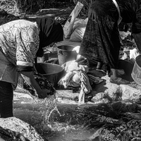 Femmes du maghreb