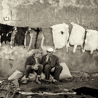 Puces d'Essaouira. 