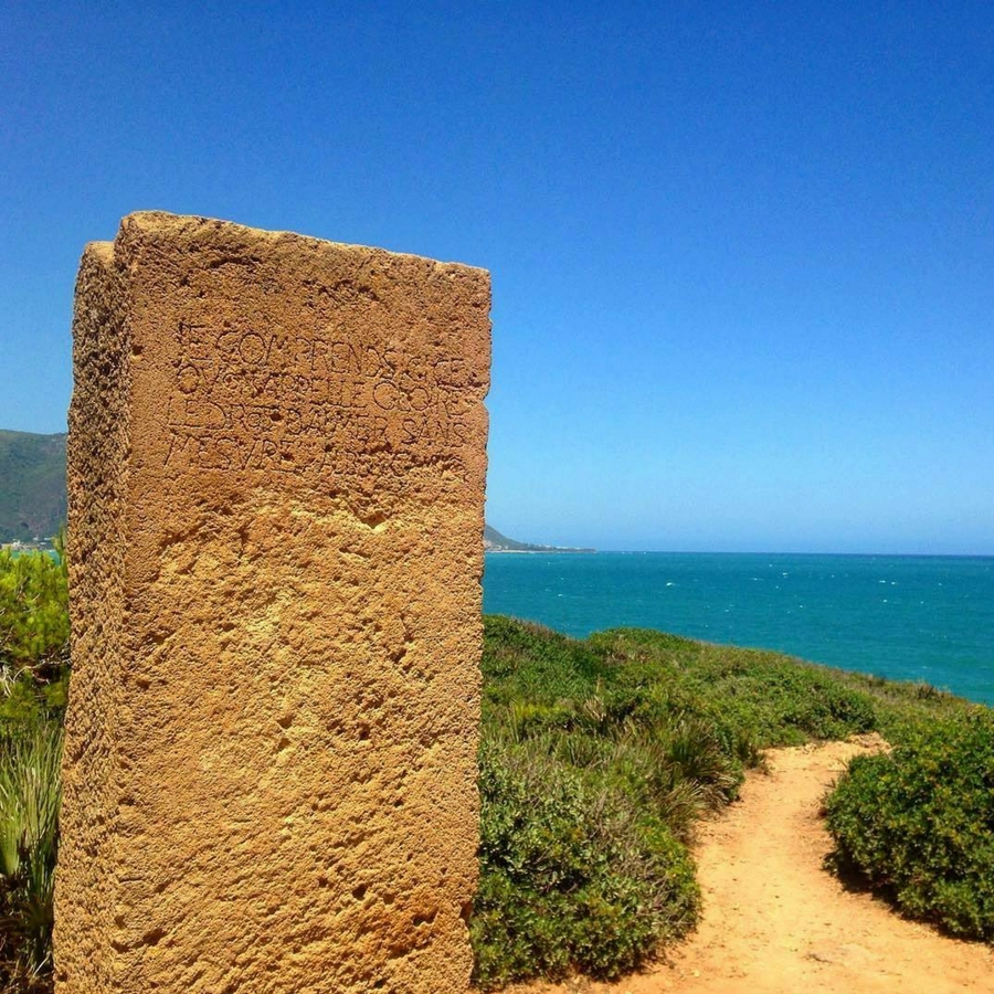 Turquoise Tipaza