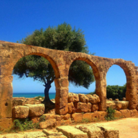 Turquoise Tipaza