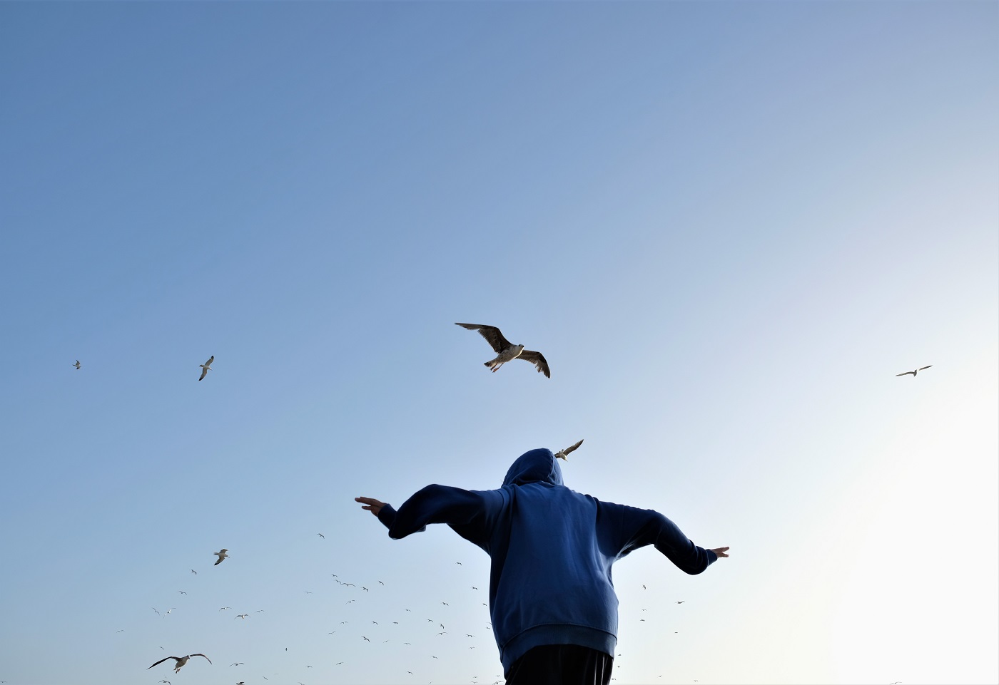 ​Road trip à Essaouira