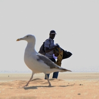 ​Road trip à Essaouira