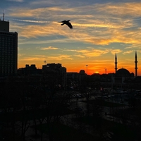 Istanbul: Land of Reds and Oranges