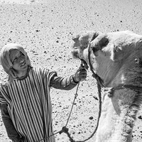 Série en nior et blanc