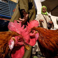 Streets of Morocco