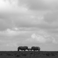 Monoliths