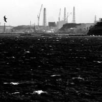 Silent Witnesses: Fukushima 2011–2026