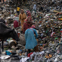 Dreams Buried in Waste