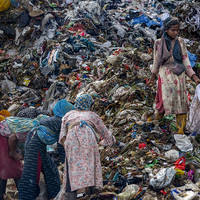 Dreams Buried in Waste
