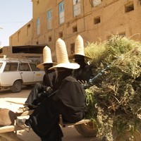 YEMEN SNAPSHOT 