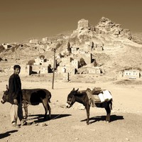 YEMEN SNAPSHOT 