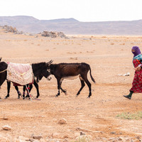 Hope