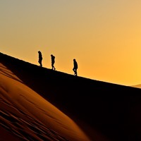 Golden hour. Sahara desert.