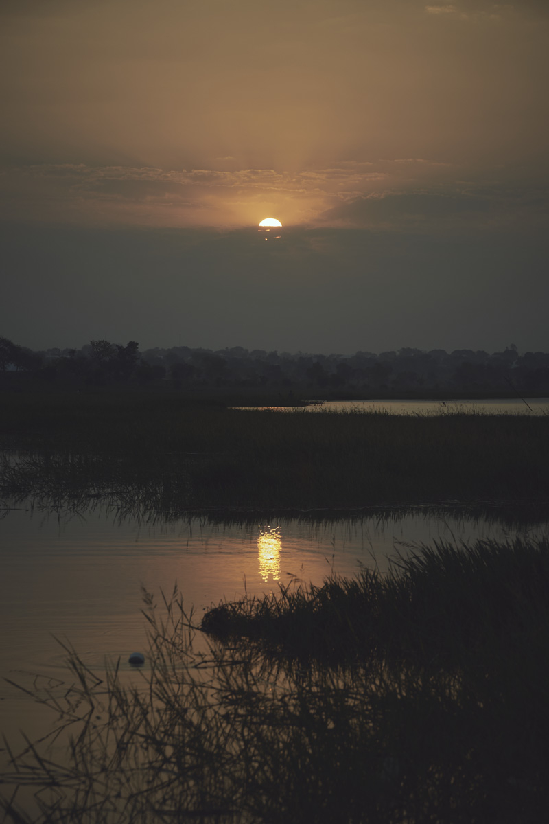Echoes of Volta