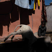 Between the laundry lines