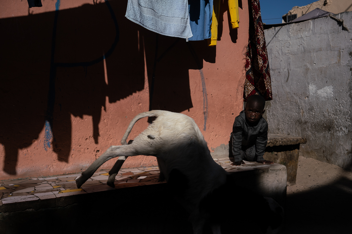 Between the laundry lines