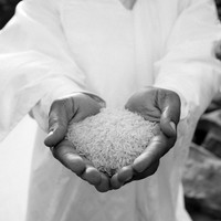 The trail to Timbuktu 