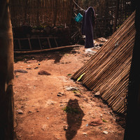 Oued Zat, Last Harvest