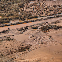 Oued Zat, Last Harvest