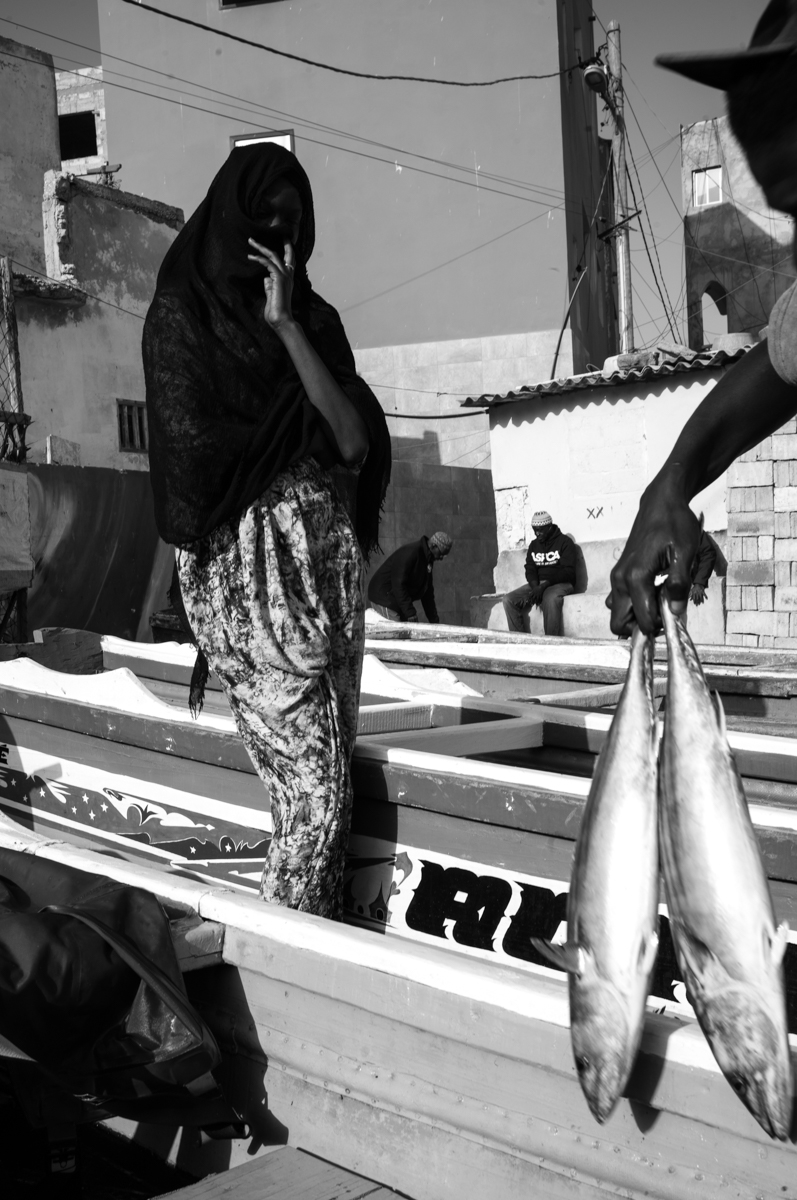 Fishing Is My Destiny