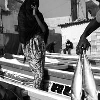 Fishing Is My Destiny