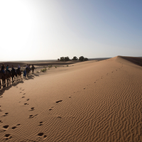 Sands of time