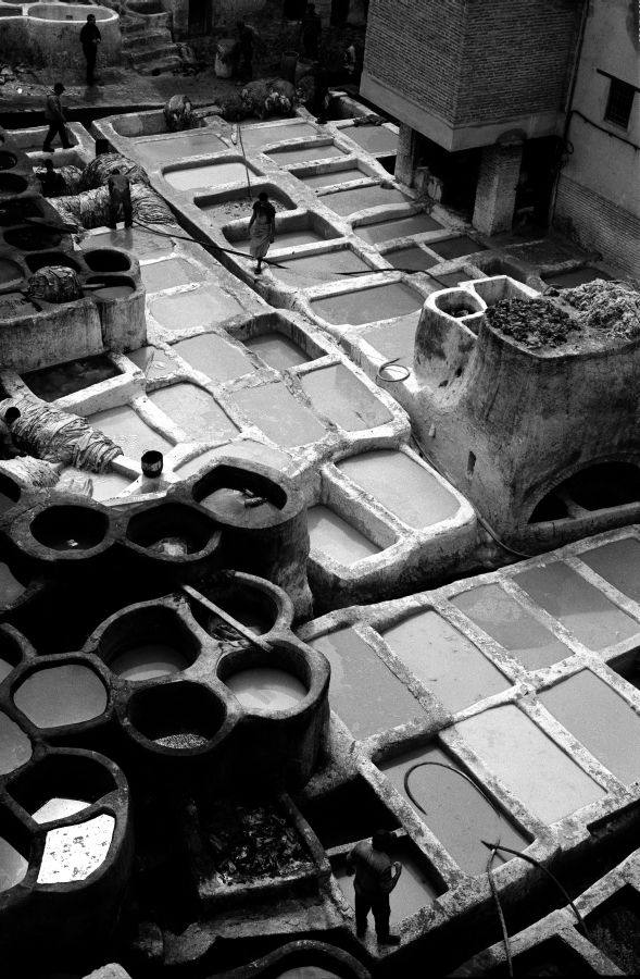 Tannery of Fés 