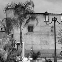 Streets of Marrakech