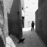 Streets of Marrakech