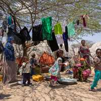 Hopes to Hargeisa